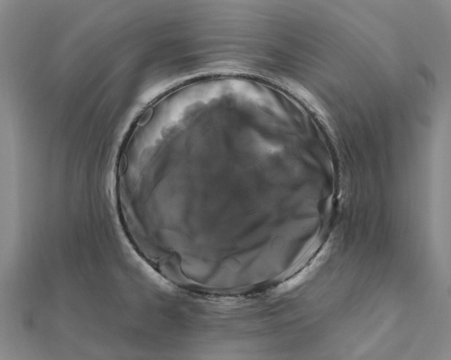 X0000112111334200908251203