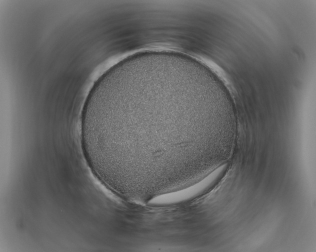 X0000112111335200908251203