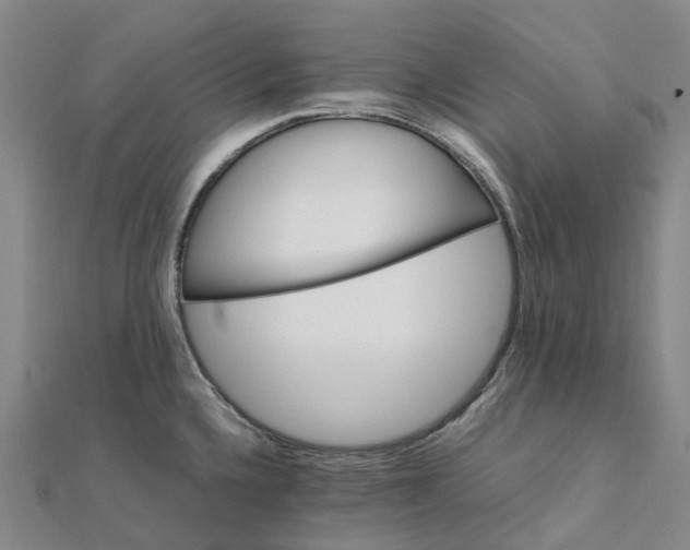 X0000112111336200908251203