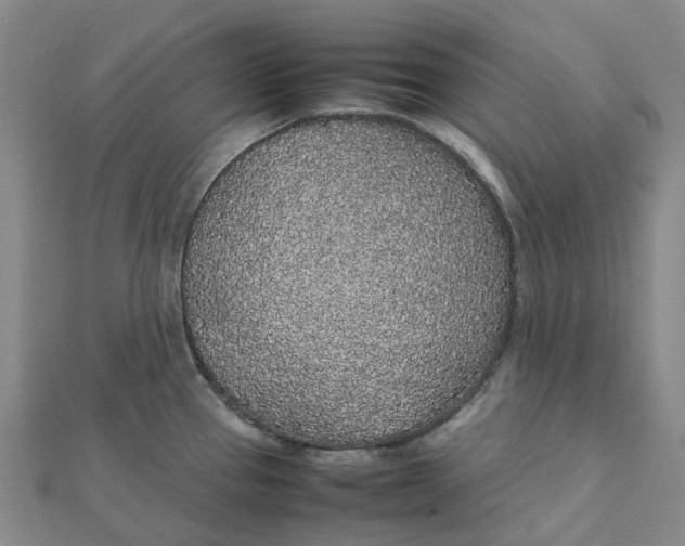 X0000112111337200908251203