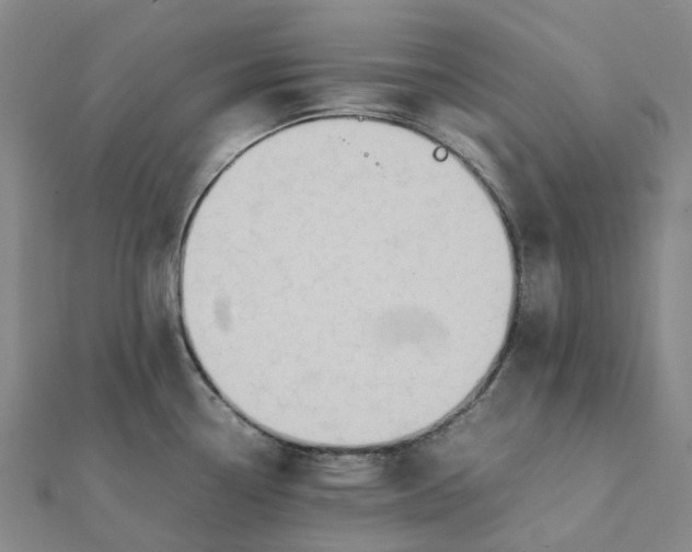 X0000112111338200908251203