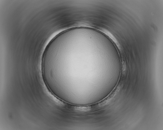 X0000112111339200908251203