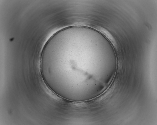 X0000112111340200908251203