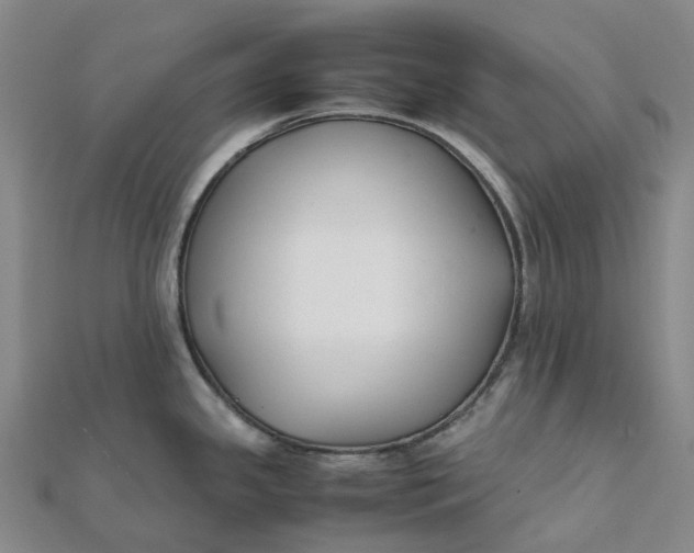 X0000112111341200908251203