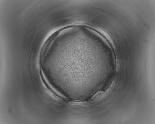 X0000112111342200908251203