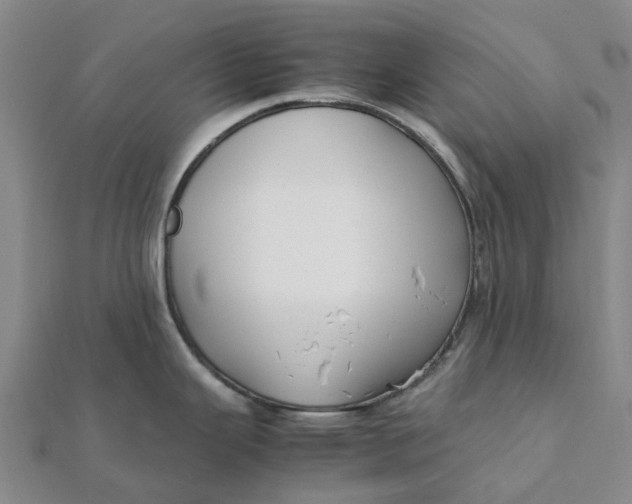 X0000112111343200908251203