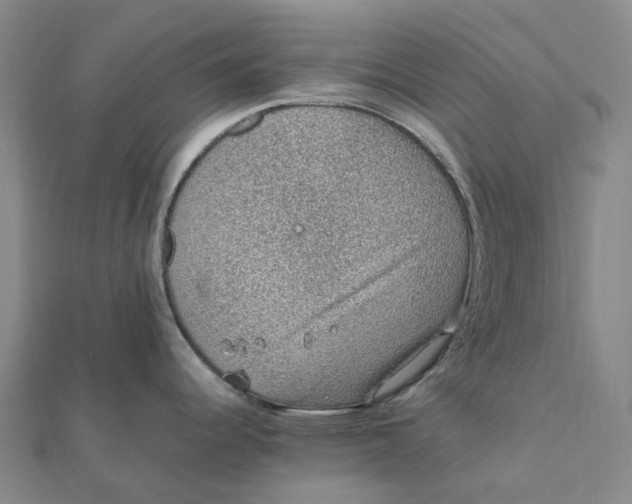 X0000112111344200908251203