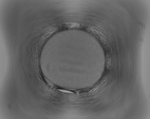 X0000112111345200908251202