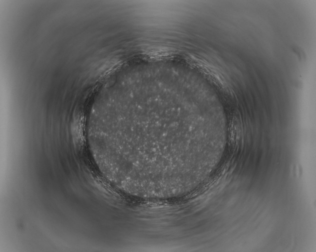 X0000112111346200908251202