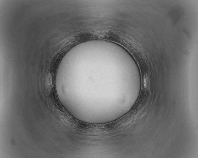 X0000112111347200908251202