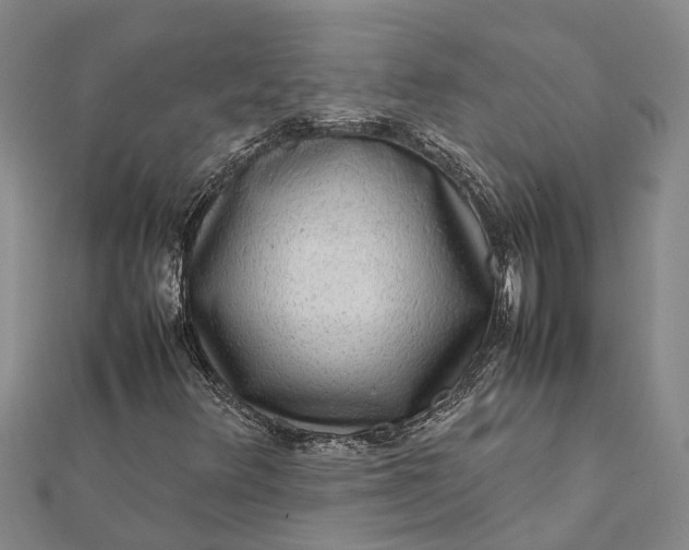 X0000112111348200908251202