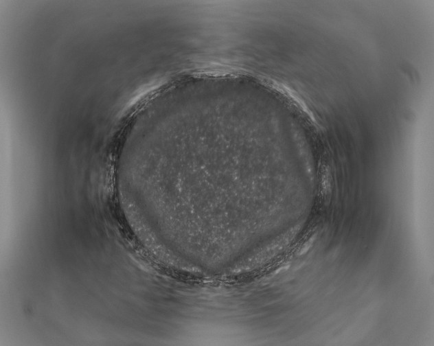 X0000112111350200908251202