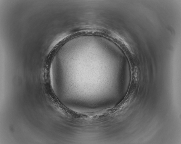 X0000112111352200908251202