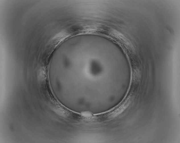 X0000112111353200908251202