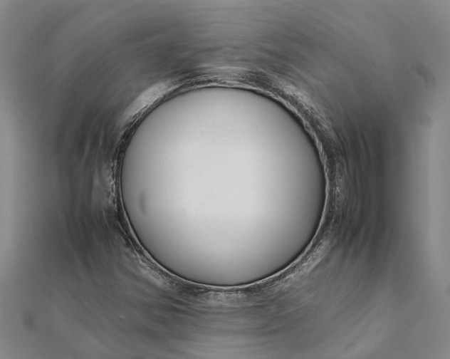 X0000112111354200908251202