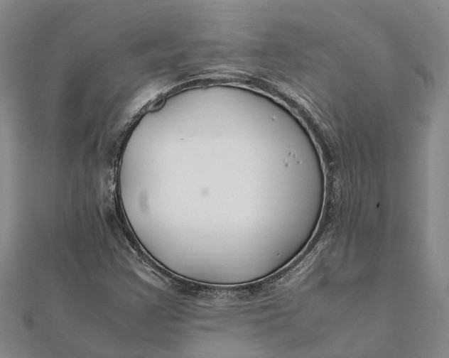 X0000112111355200908251202