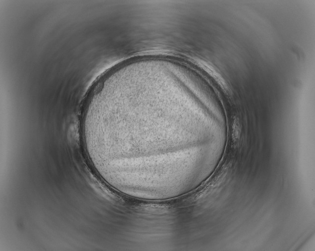 X0000112111356200908251202