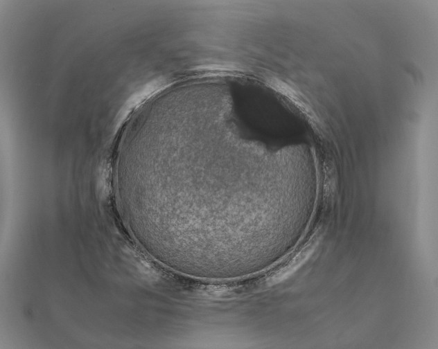 X0000112111357200908251202