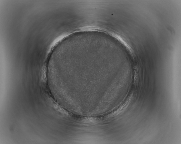 X0000112111358200908251202