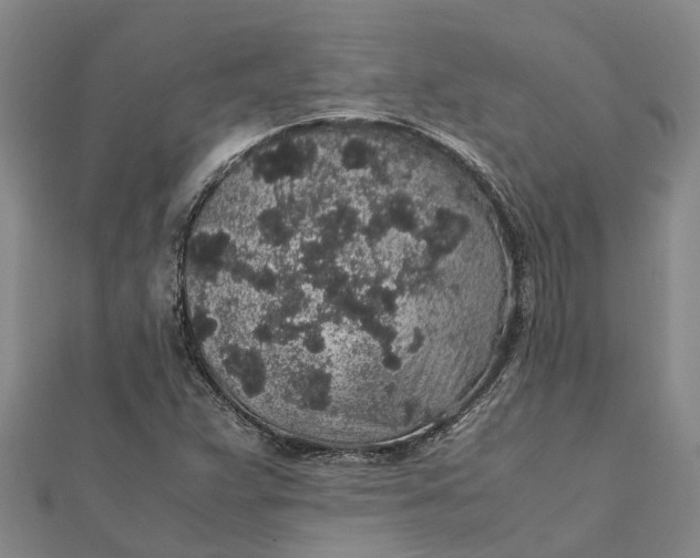 X0000112111359200908251202