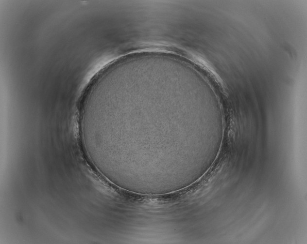 X0000112111360200908251202