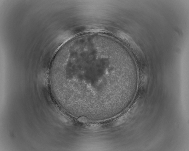 X0000112111361200908251202