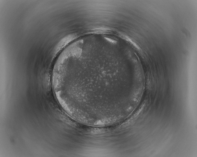 X0000112111362200908251202