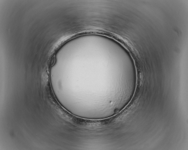 X0000112111363200908251202