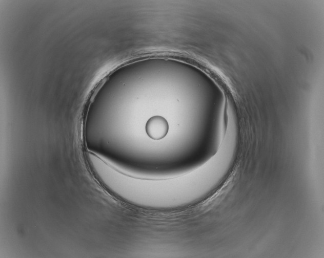 X0000112111365200908251202