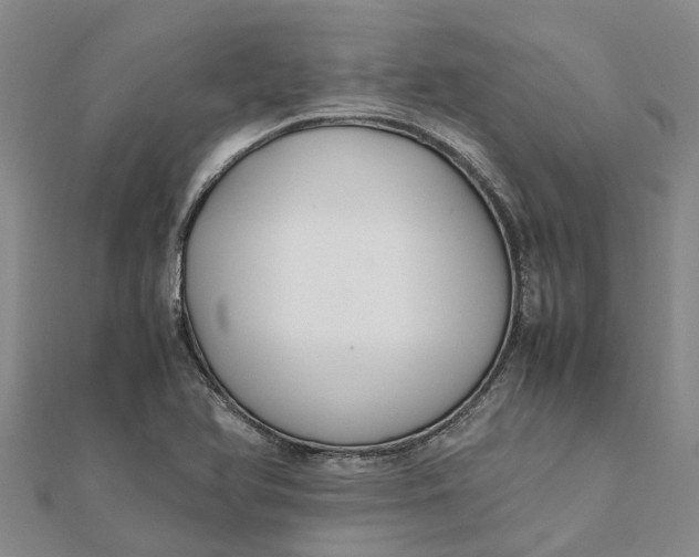 X0000112111366200908251202