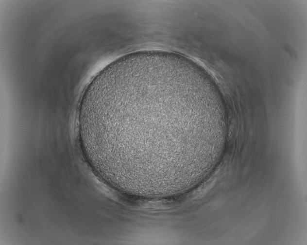 X0000112111367200908251202