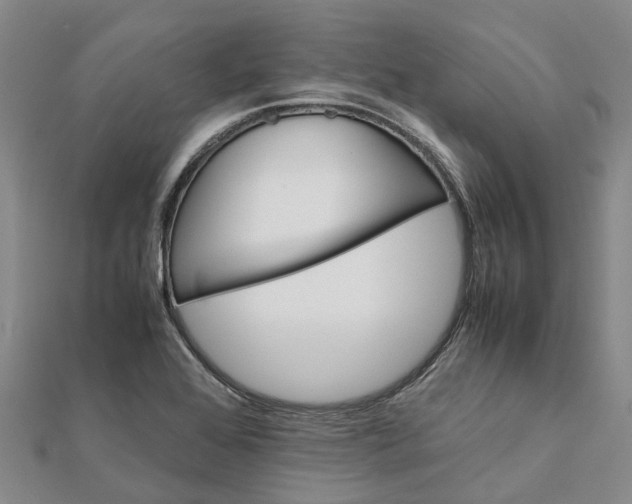 X0000112111368200908251202