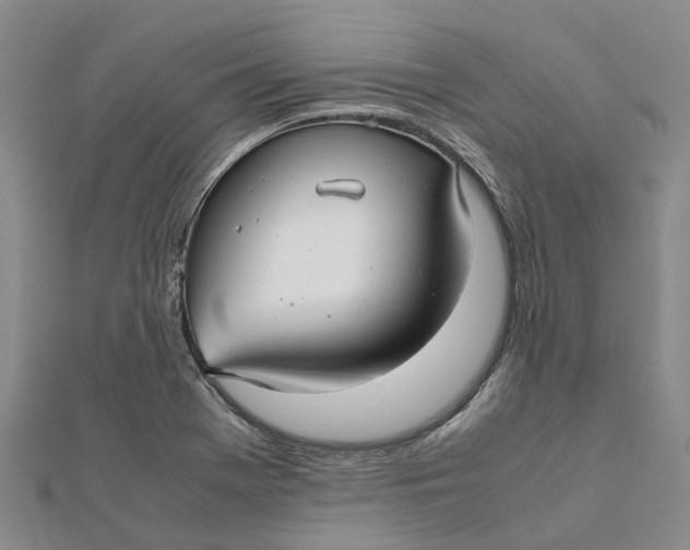 X0000112111369200908251202