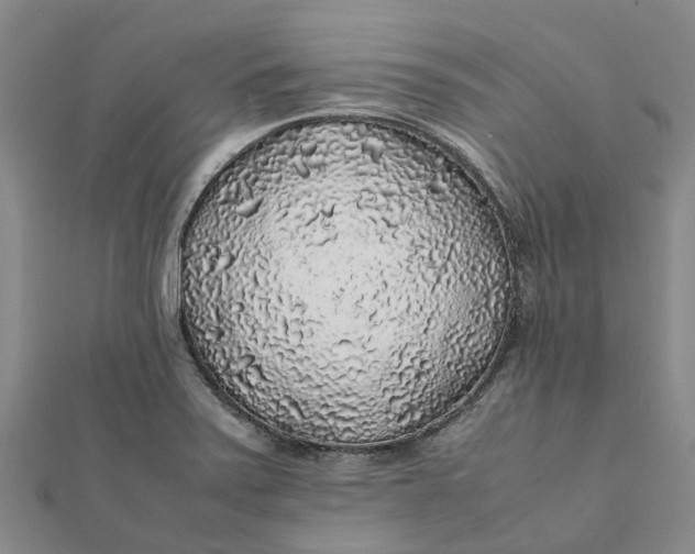 X0000112111371200908251202