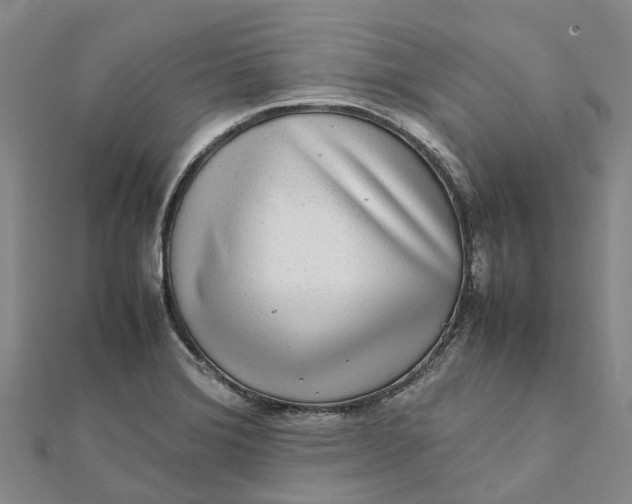 X0000112111372200908251202