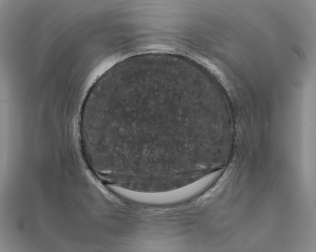 X0000112111373200908251202