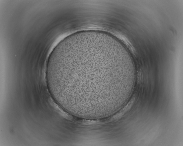 X0000112111374200908251202