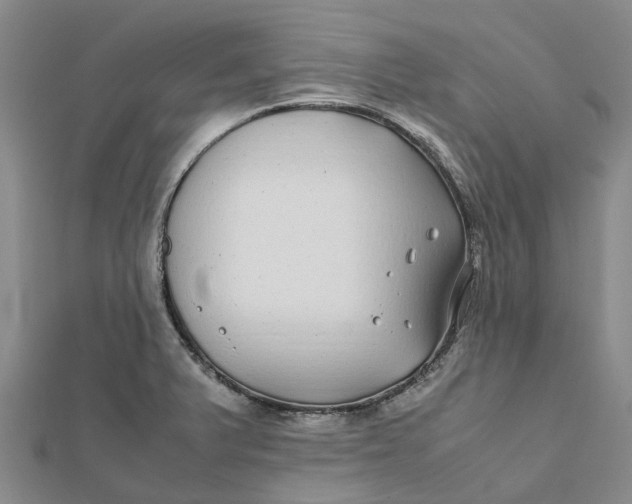 X0000112111375200908251202