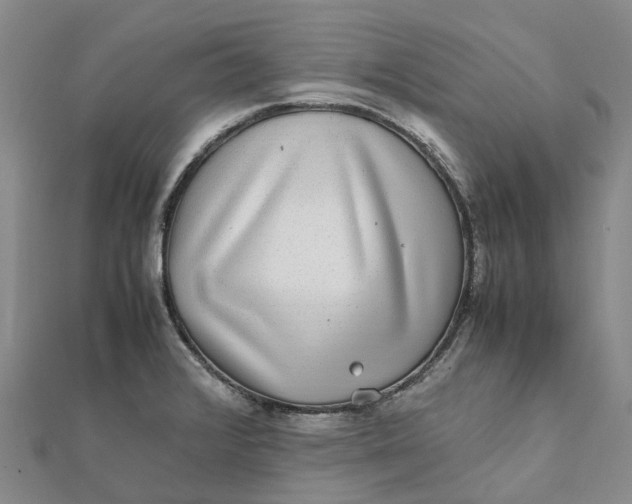 X0000112111376200908251202