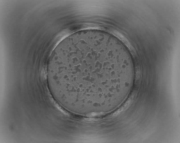 X0000112111377200908251202