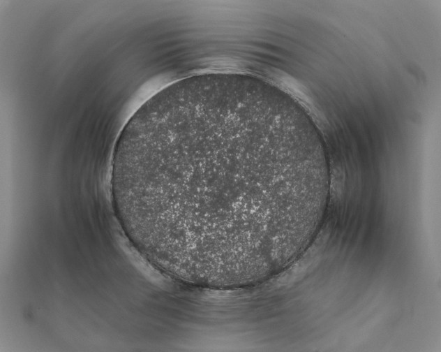 X0000112111378200908251202