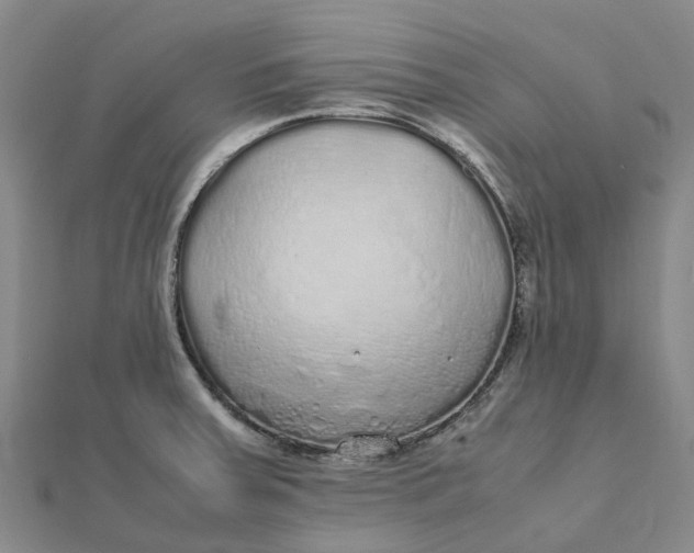 X0000112111379200908251202