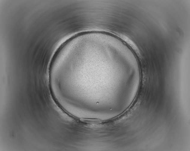 X0000112111380200908251202