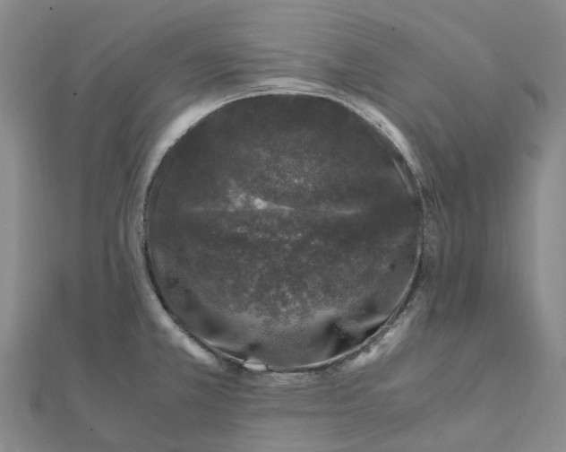 X0000112111381200908251202