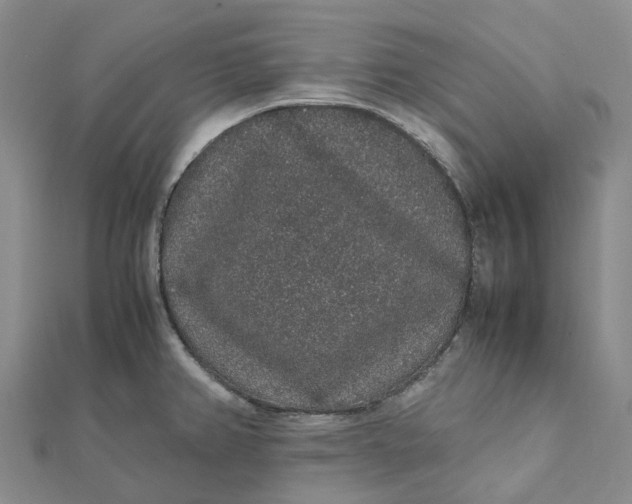 X0000112111382200908251202