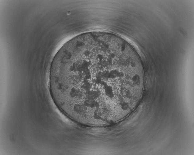 X0000112111383200908251202