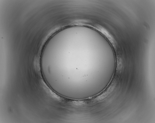 X0000112111384200908251202