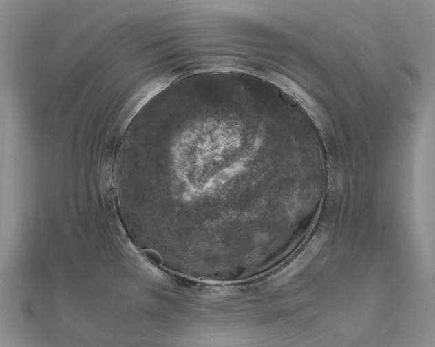 X0000112111385200908251202