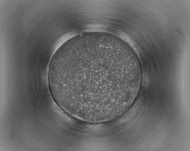 X0000112111386200908251202