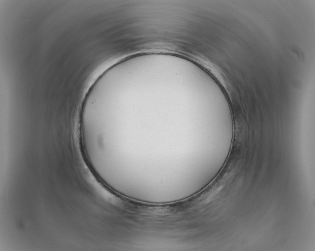 X0000112111387200908251202